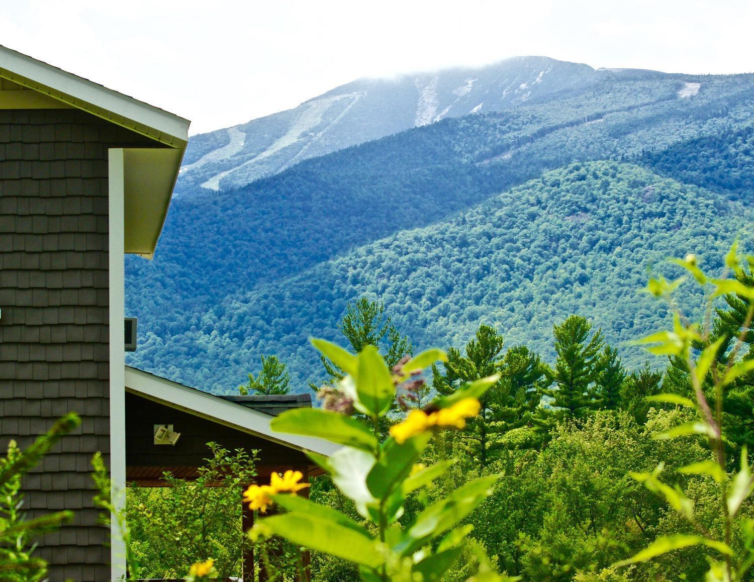 윌밍턴 Lookout Mountain Chalet 빌라 외부 사진